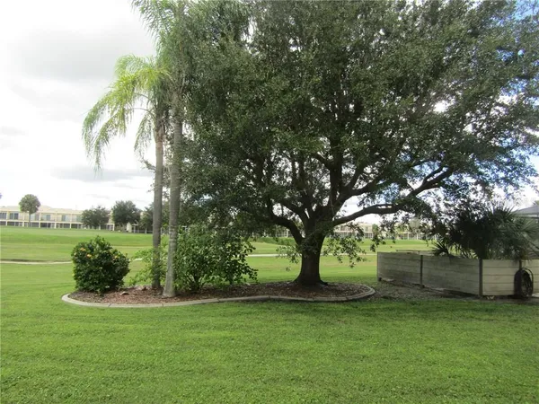 a view of a yard with a tree