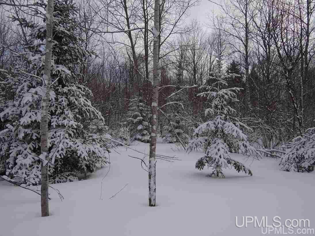 19184 Dog Patch Road Lanse, MI 49946 - Photo 14 of 23 Gallery Image 14