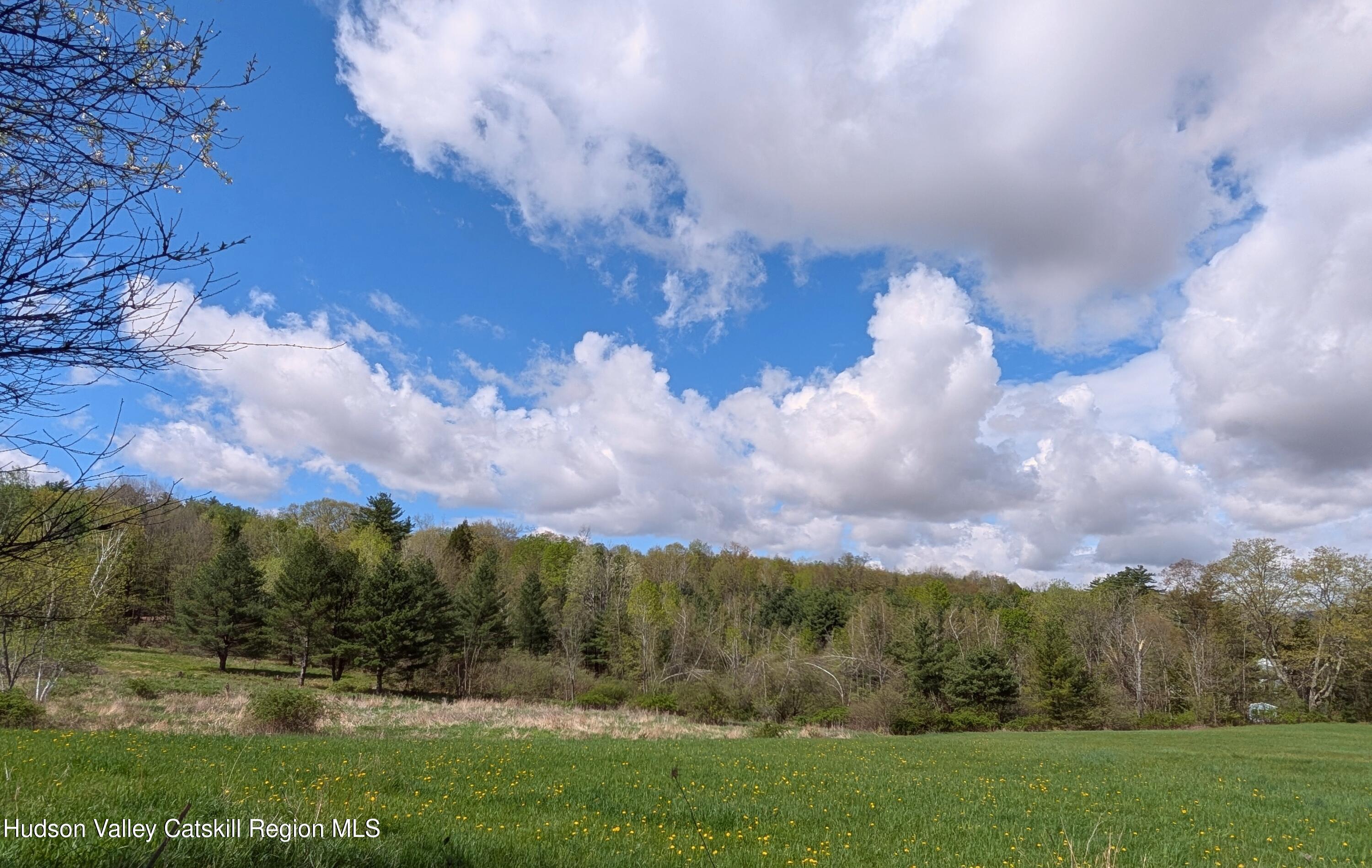 351 Presbyterian Hill Road Stephentown, NY 12168 - Photo 43 of 46
