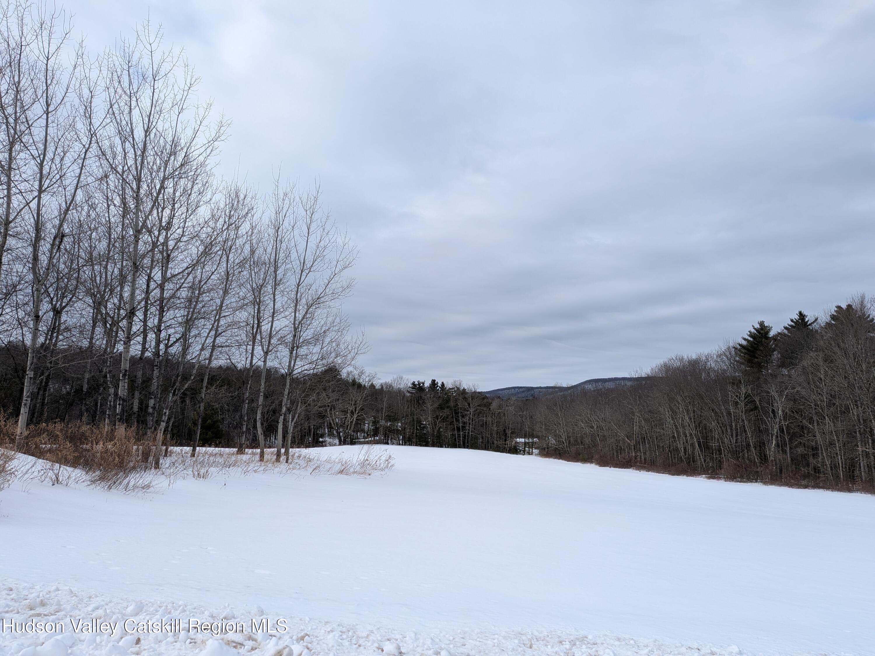 351 Presbyterian Hill Road Stephentown, NY 12168 - Photo 7 of 46 a view of mountain view with skyline