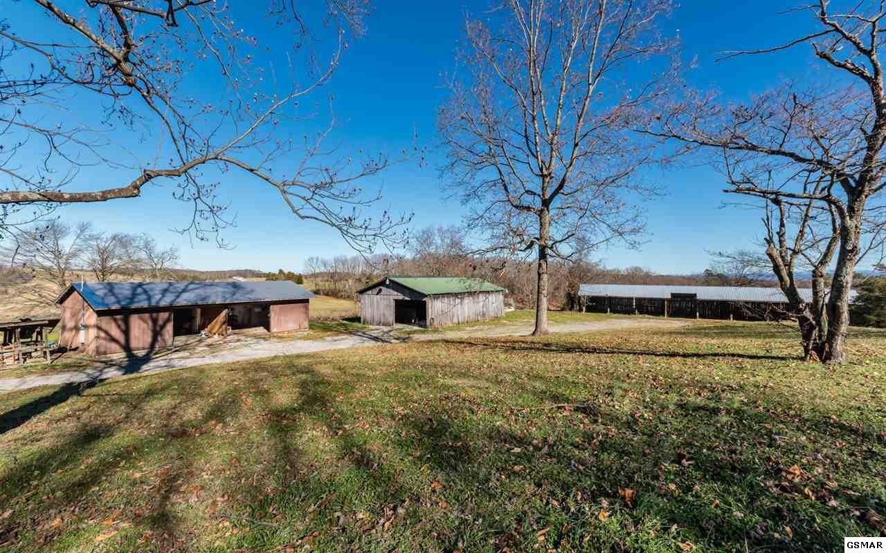 17225 Rausin Road Philadelphia, TN 37846 - Photo 25 of 34 Gallery Image 25