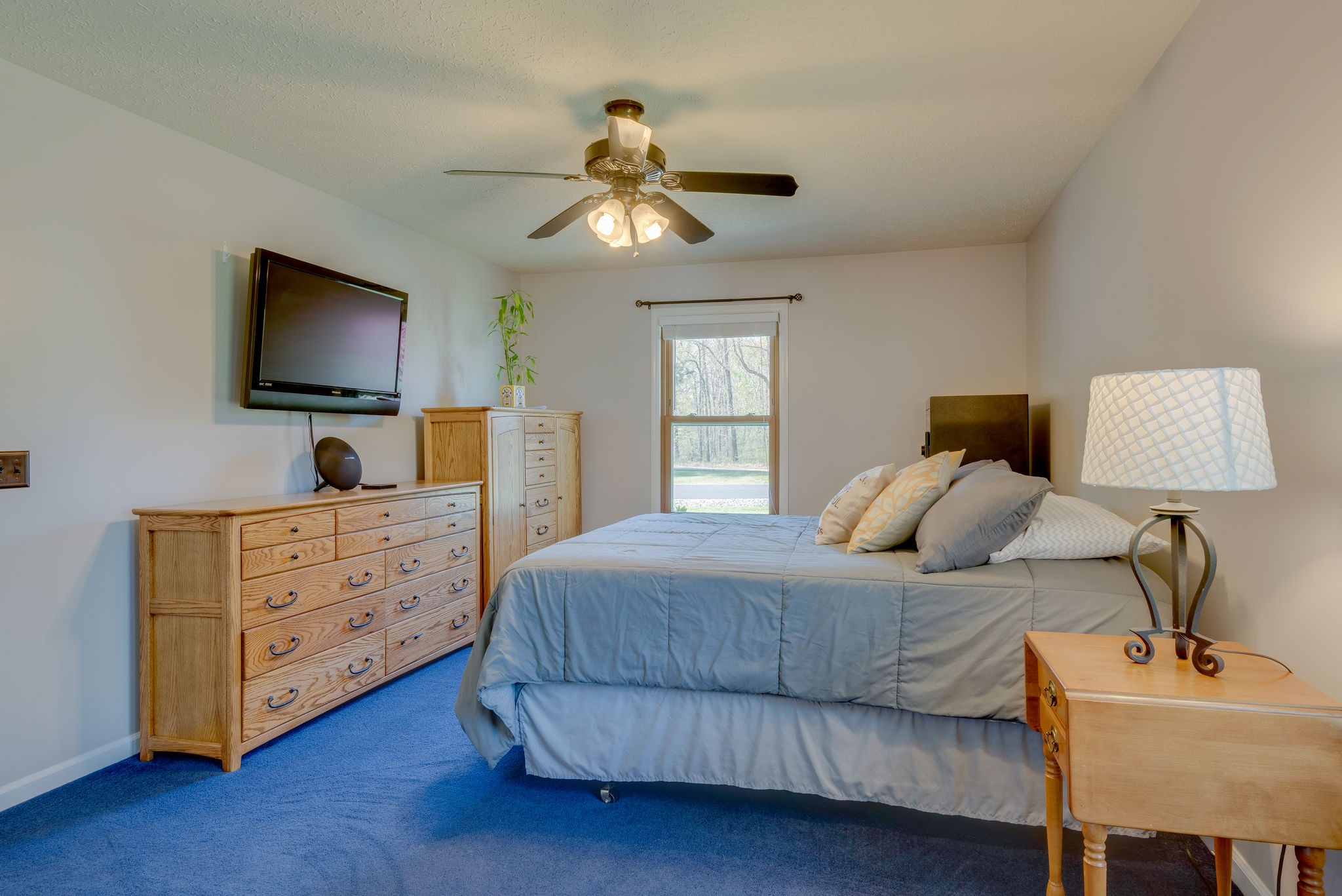 6839 Primm Springs Road Lyles, TN 37098 - Photo 17 of 30 Gallery Image 17