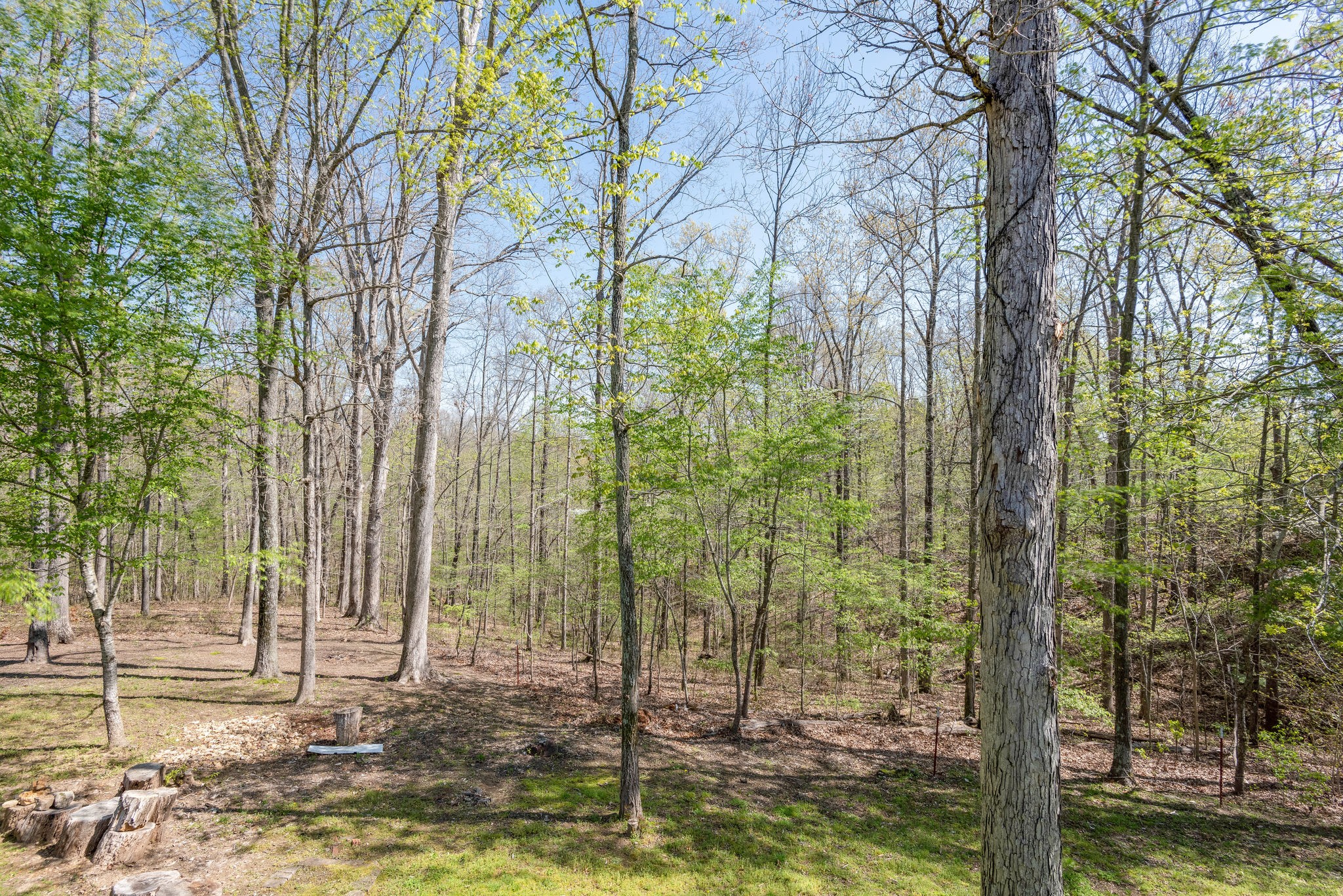 6839 Primm Springs Road Lyles, TN 37098 - Photo 28 of 30 Gallery Image 28