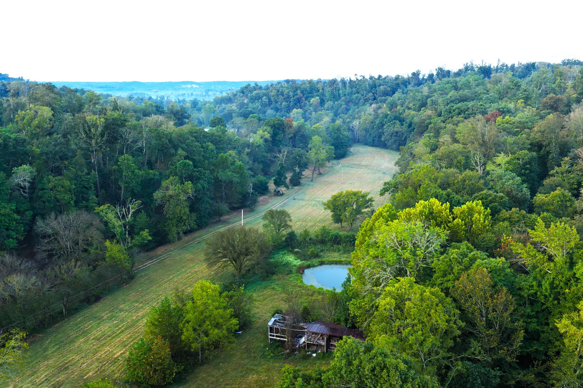 110 Wade Reed Road White Bluff, TN 37187 - Photo 29 of 94 Gallery Image 29