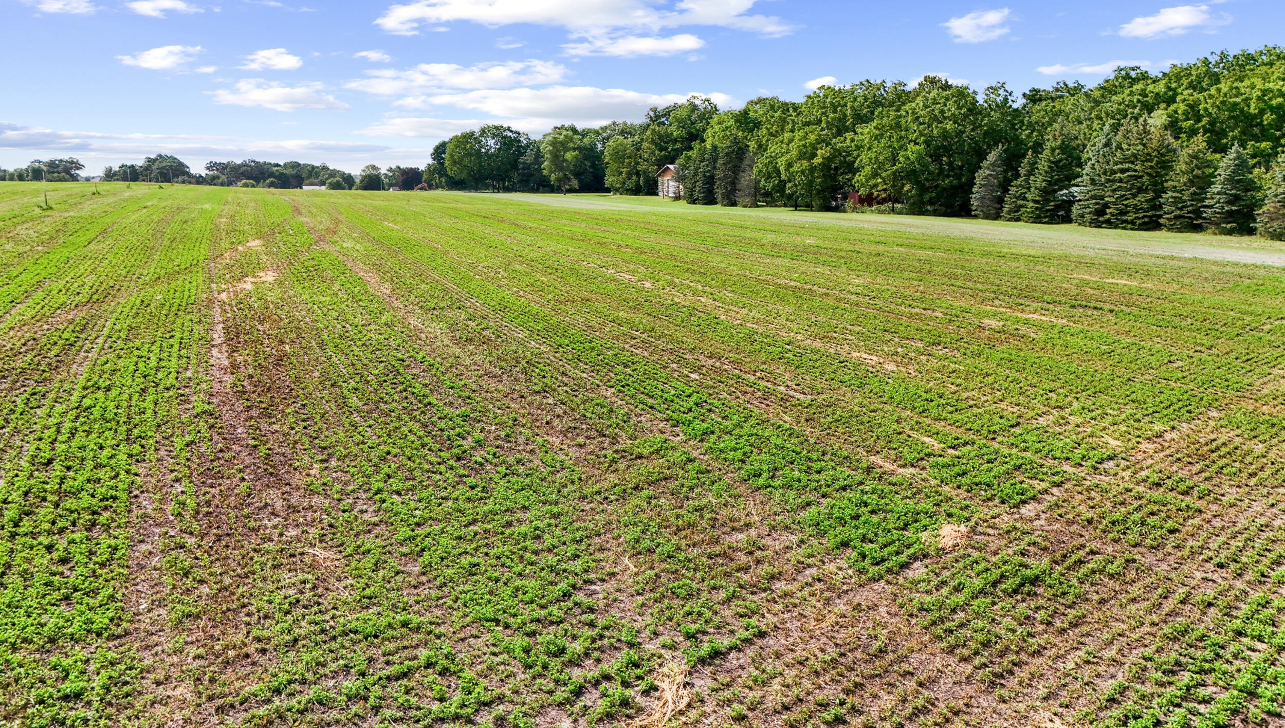 1453 Waukesha Road Raymond, WI 53108 - Photo 17 of 22 17_img_1438