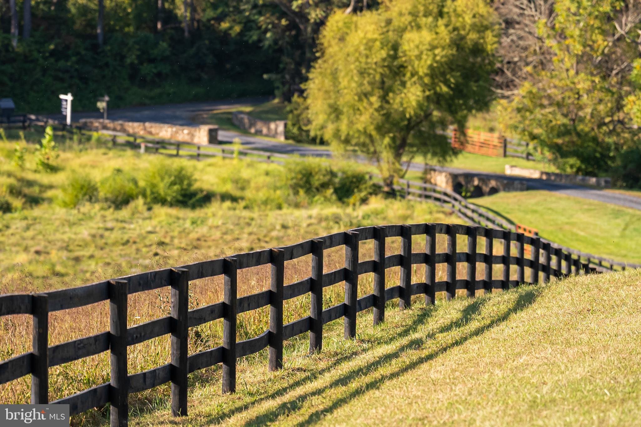 3707 Carrington Road Delaplane, VA 20144 - Photo 11 of 52 a view of swimming pool with a yard