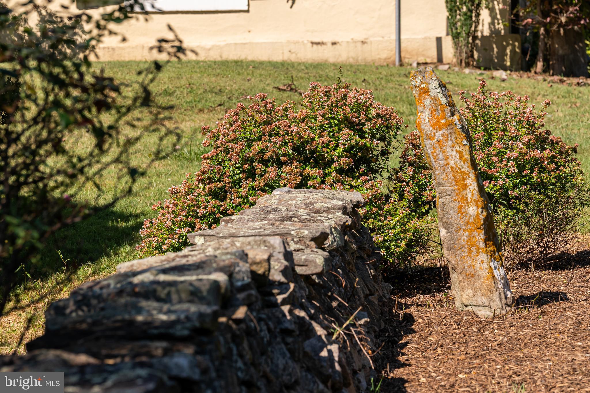 3707 Carrington Road Delaplane, VA 20144 - Photo 12 of 52 a view of a large yard with lots of green space