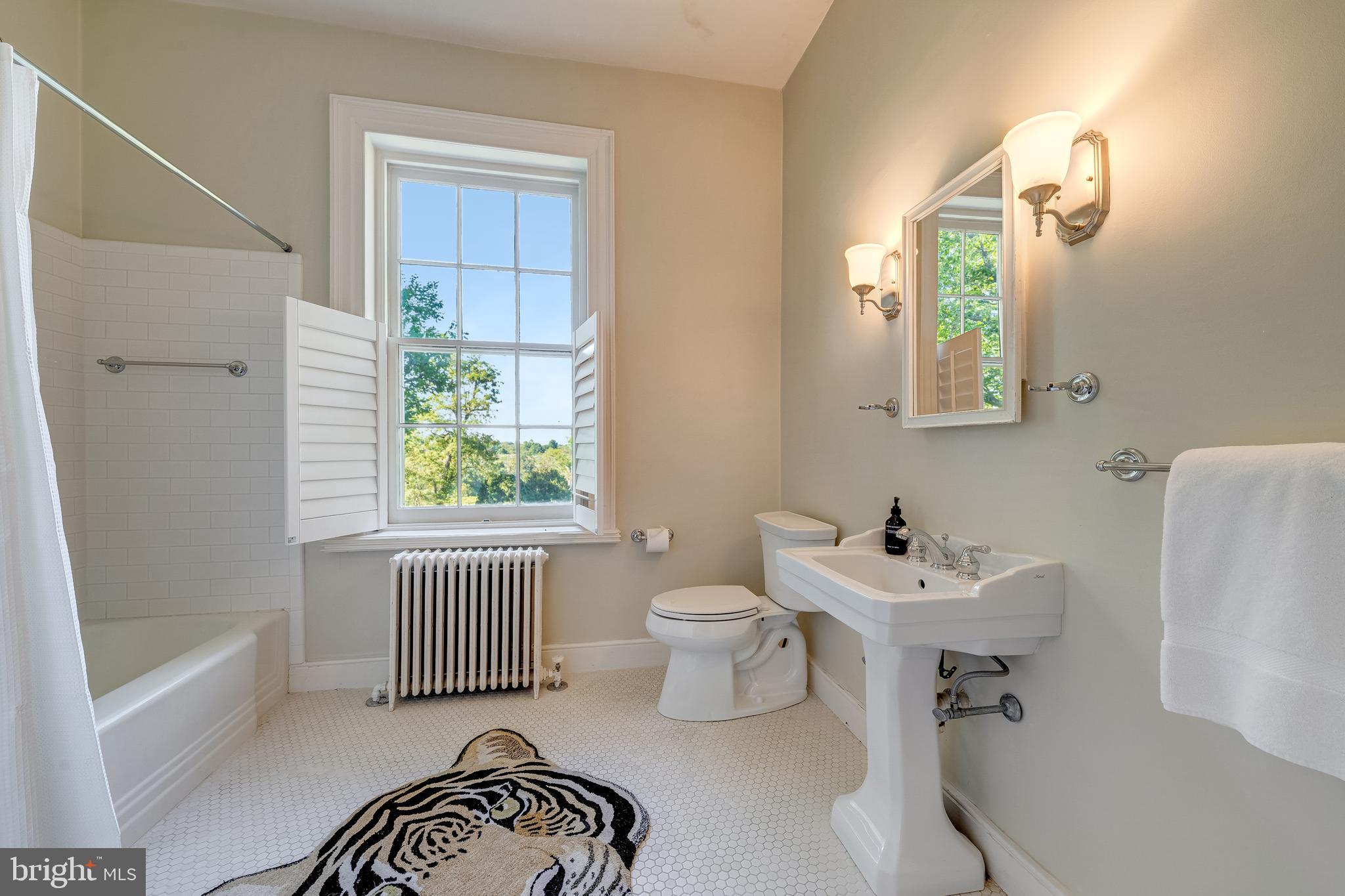 3707 Carrington Road Delaplane, VA 20144 - Photo 39 of 52 a bathroom with a sink and a bathtub