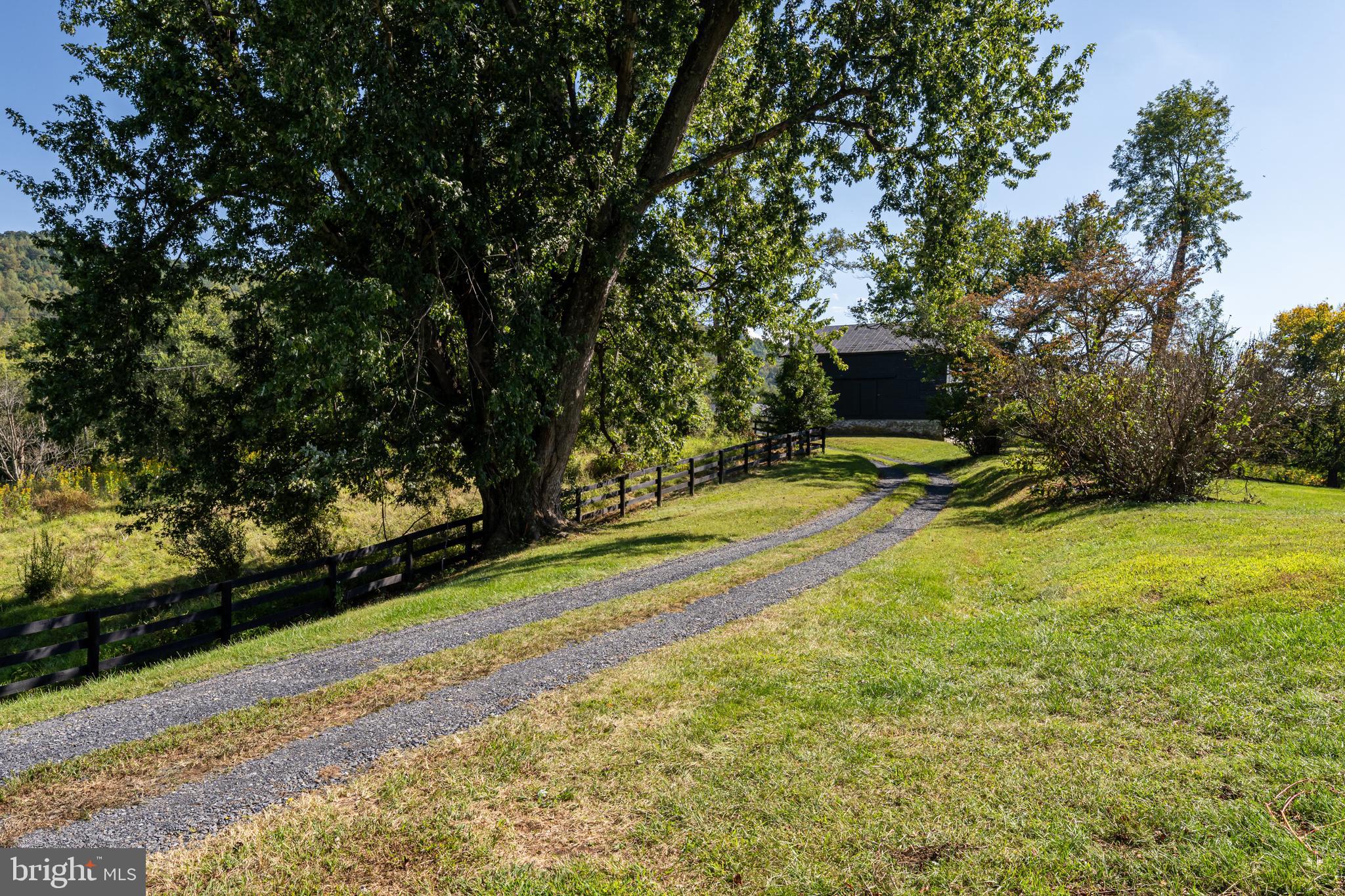 3707 Carrington Road Delaplane, VA 20144 - Photo 45 of 52 a view of a backyard with plants and trees