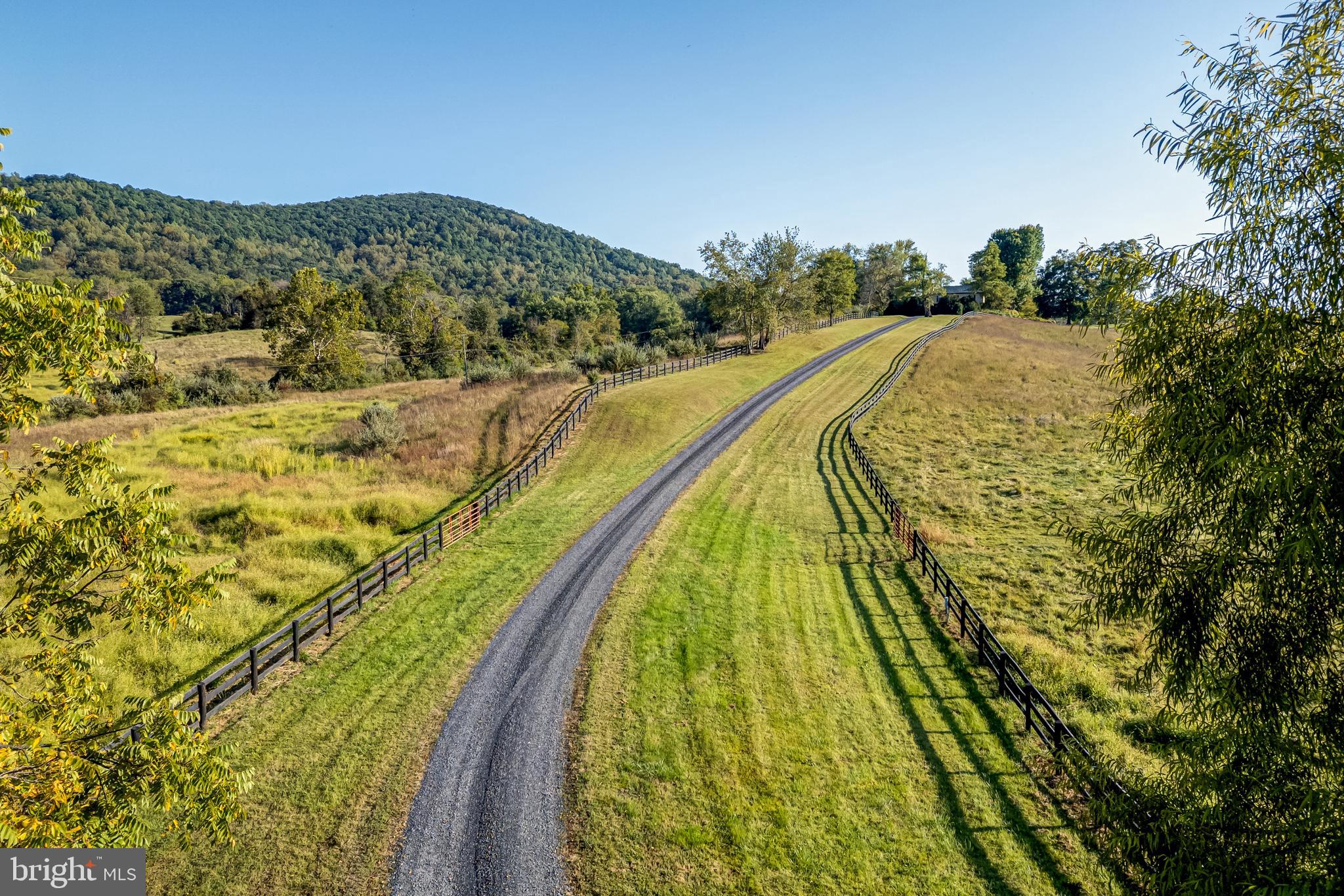 3707 Carrington Road Delaplane, VA 20144 - Photo 6 of 52 a view of a yard