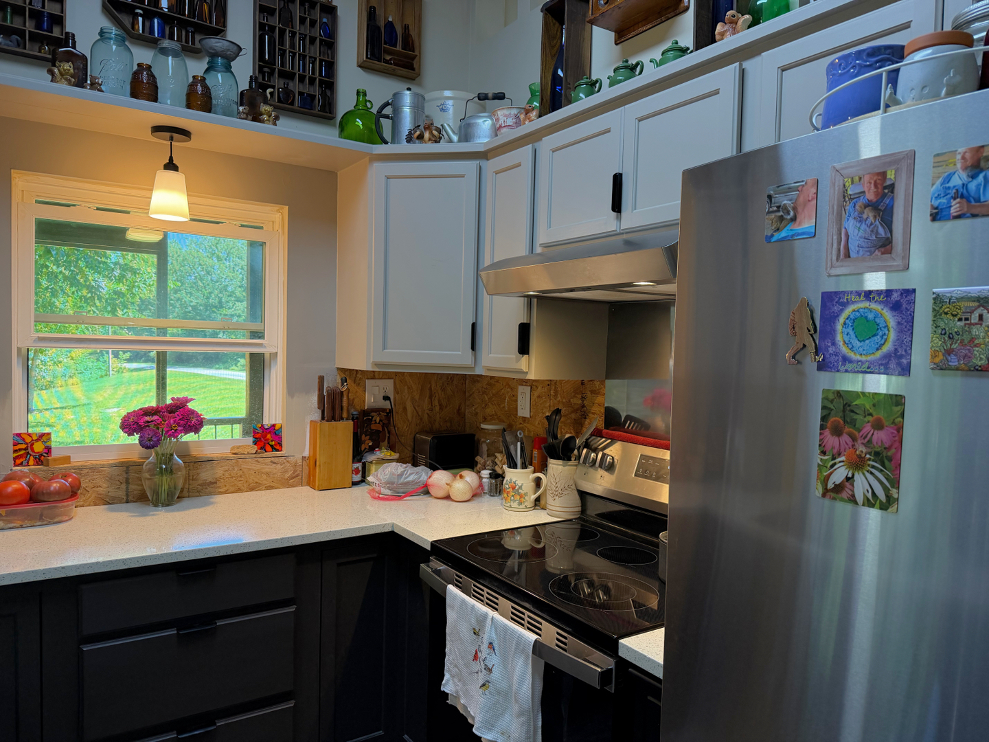 1040 Baker Hill Road Cobden, IL 62920 - Photo 4 of 20