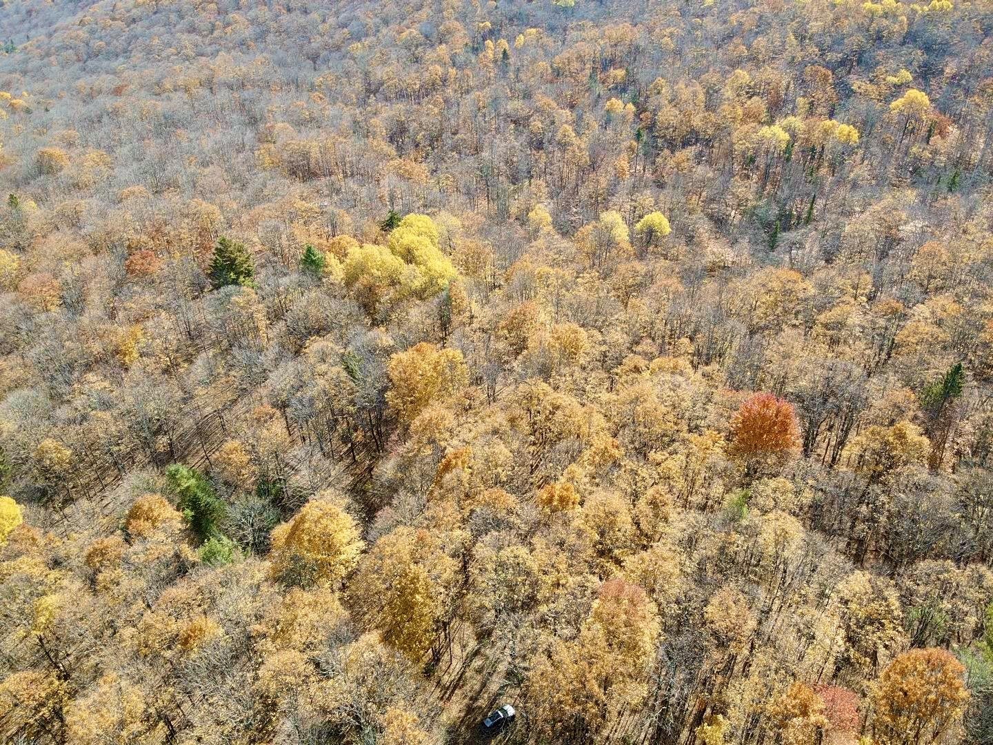 0 Private Road, Unit 3 Vershire, VT 05079 - Photo 11 of 11