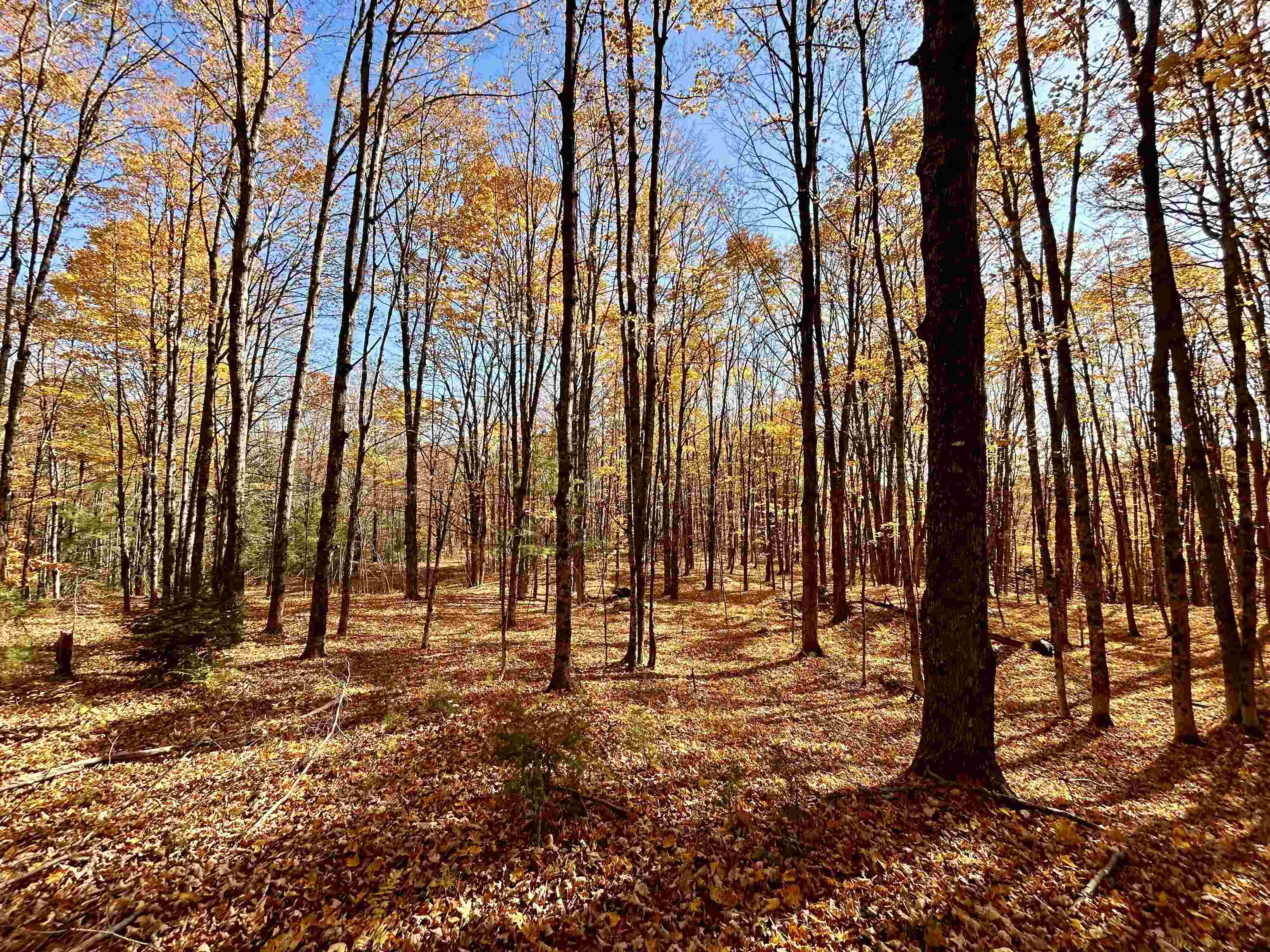 0 Private Road, Unit 3 Vershire, VT 05079 - Photo 2 of 11