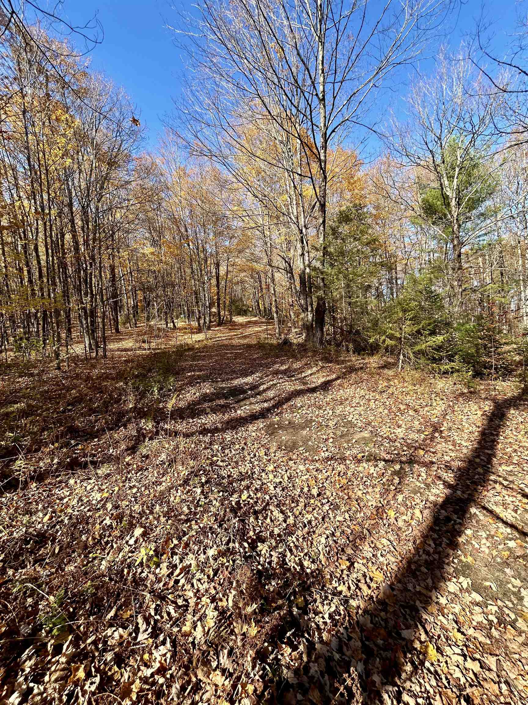 0 Private Road, Unit 3 Vershire, VT 05079 - Photo 4 of 11