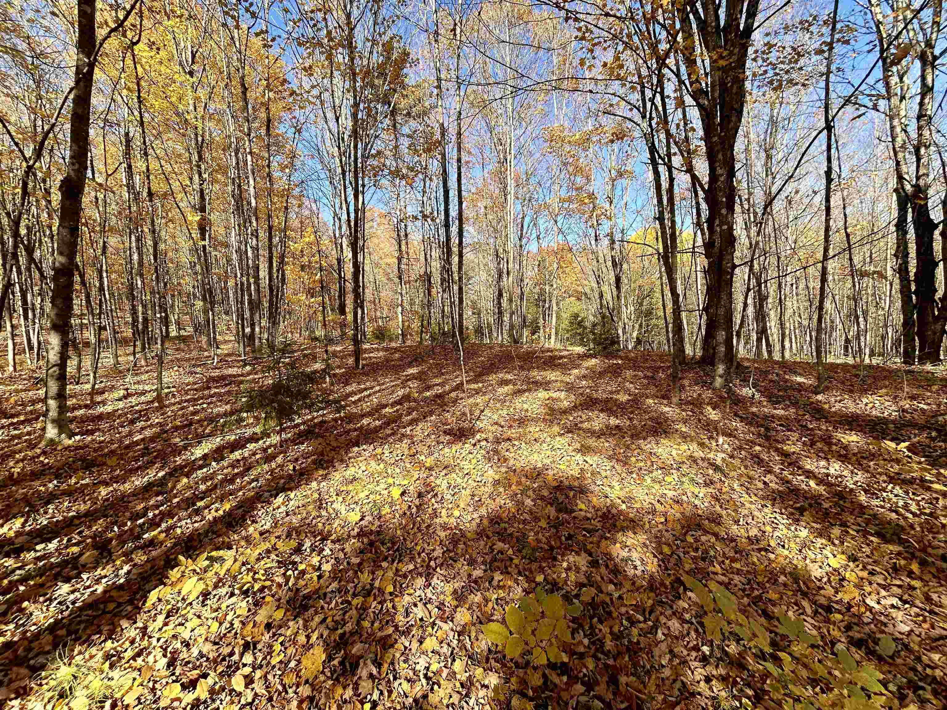 0 Private Road, Unit 3 Vershire, VT 05079 - Photo 5 of 11