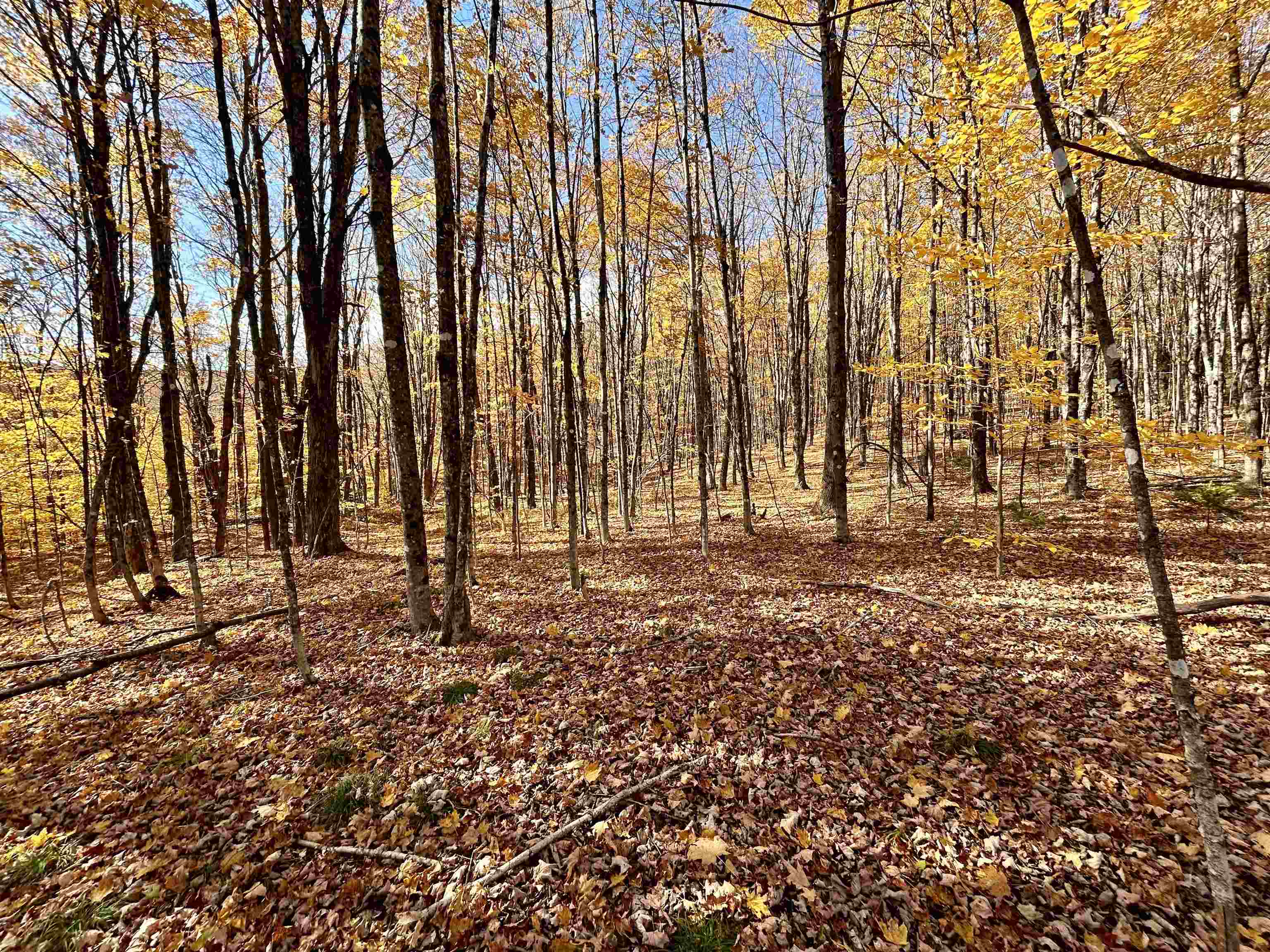 0 Private Road, Unit 3 Vershire, VT 05079 - Photo 6 of 11