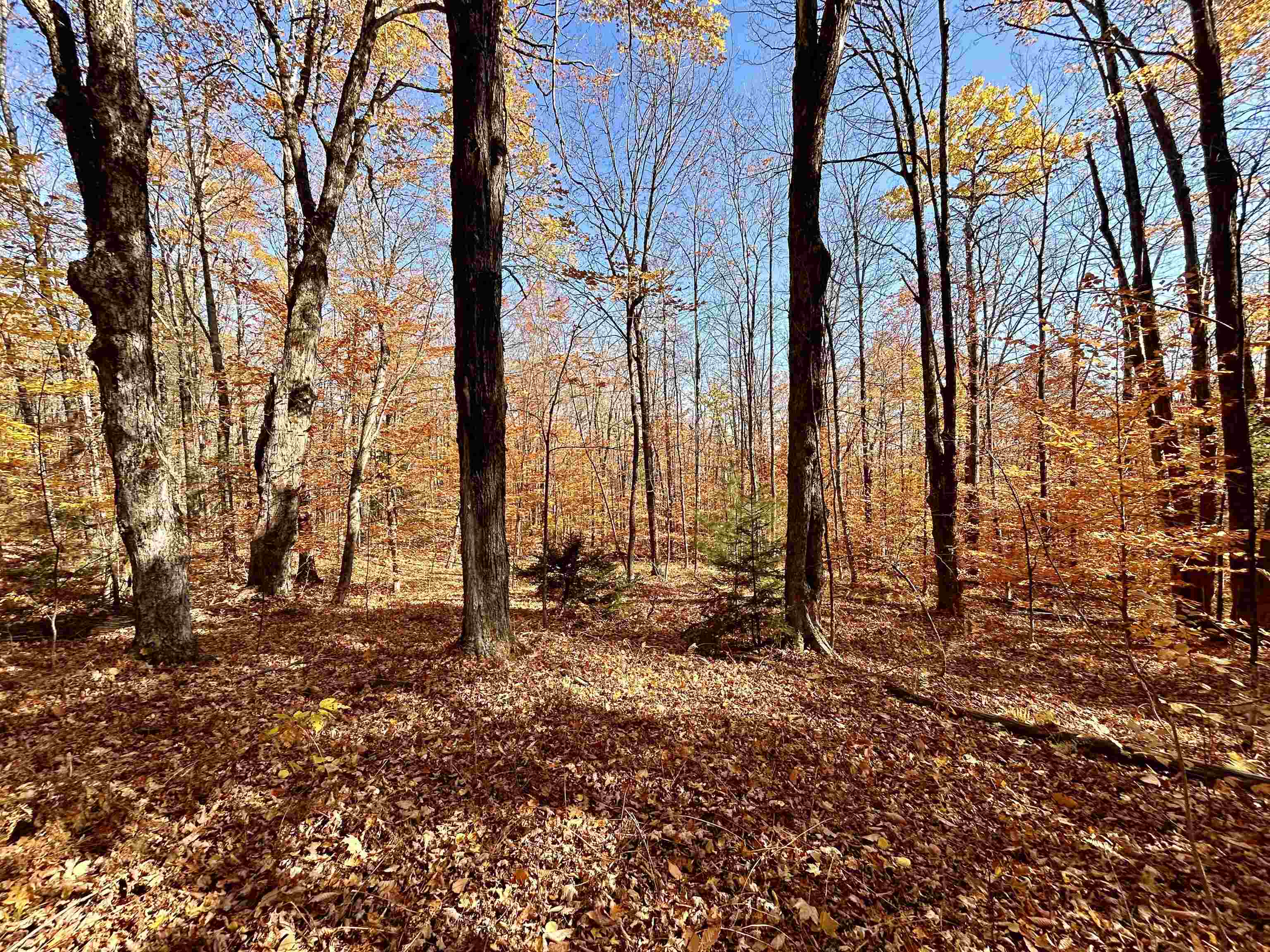 0 Private Road, Unit 3 Vershire, VT 05079 - Photo 7 of 11