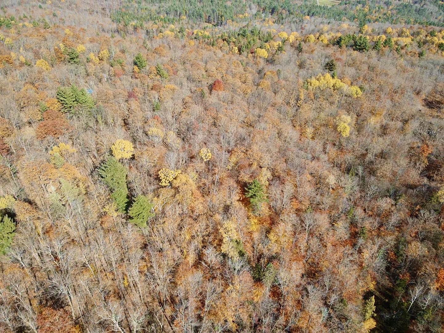0 Private Road, Unit 3 Vershire, VT 05079 - Photo 8 of 11