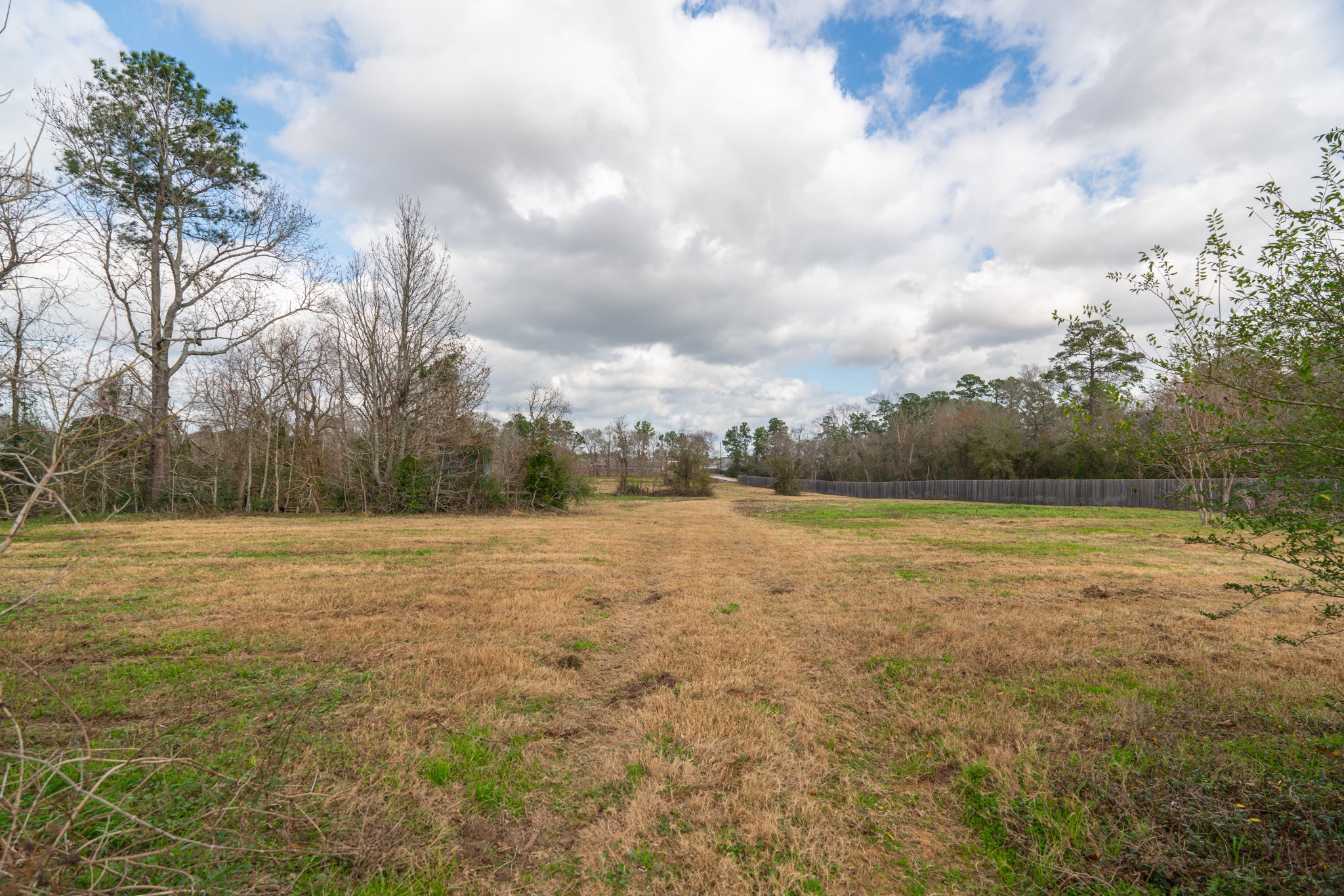 25503 Hufsmith Cemetery Road Tomball, TX 77375 - Photo 15 of 24 Wide-open, level terrain stretches across this 5.44-acre unrestricted parcel — offering a clean, buildable landscape with minimal clearing required. The gently grassed meadow, scattered mature trees, and big Texas sky above make this a picturesque setting perfectly primed for your next residential or commercial development vision.