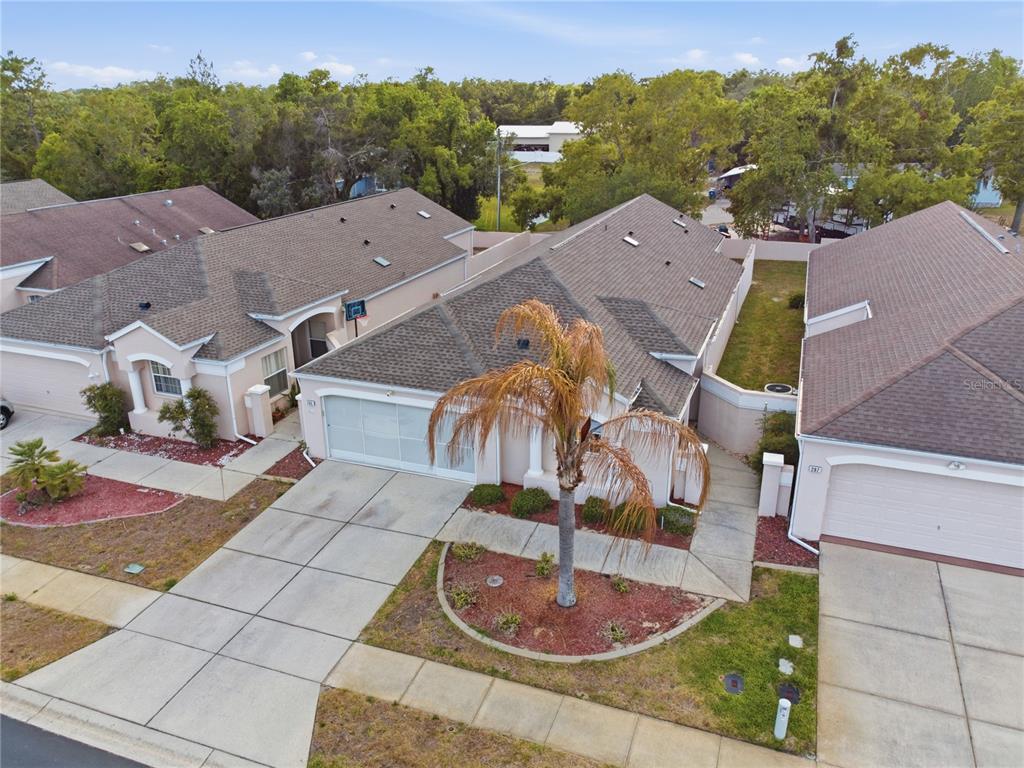 295 Royal Palm Way Spring Hill, FL 34608 - Photo 41 of 47