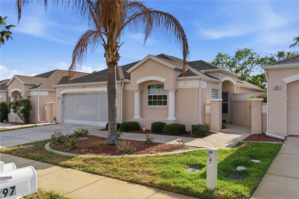 295 Royal Palm Way Spring Hill, FL 34608 - Photo 6 of 47