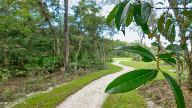 a view of a yard with plants