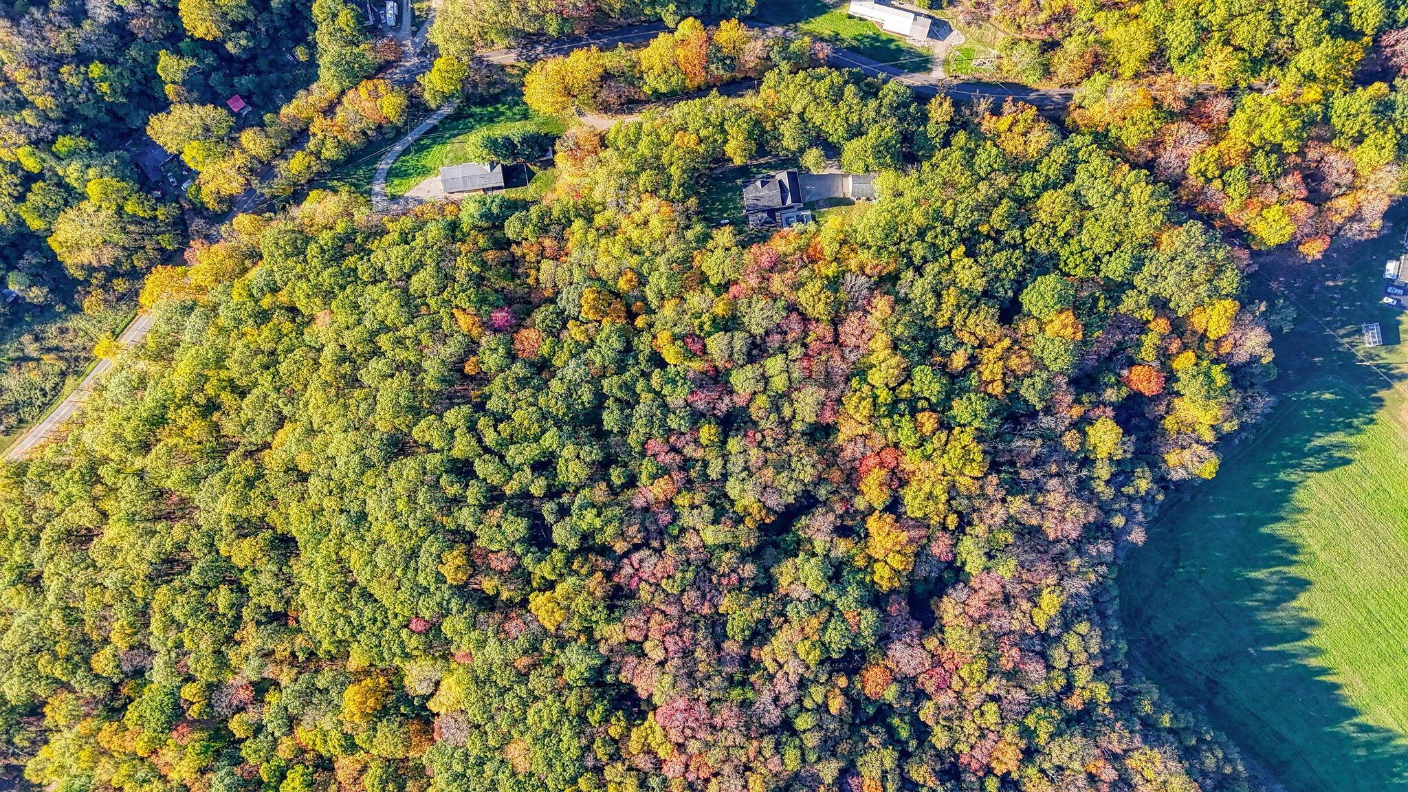 394 Mingo Road Chillicothe, OH 45601 - Photo 62 of 63 394 Mingo Rd (42)