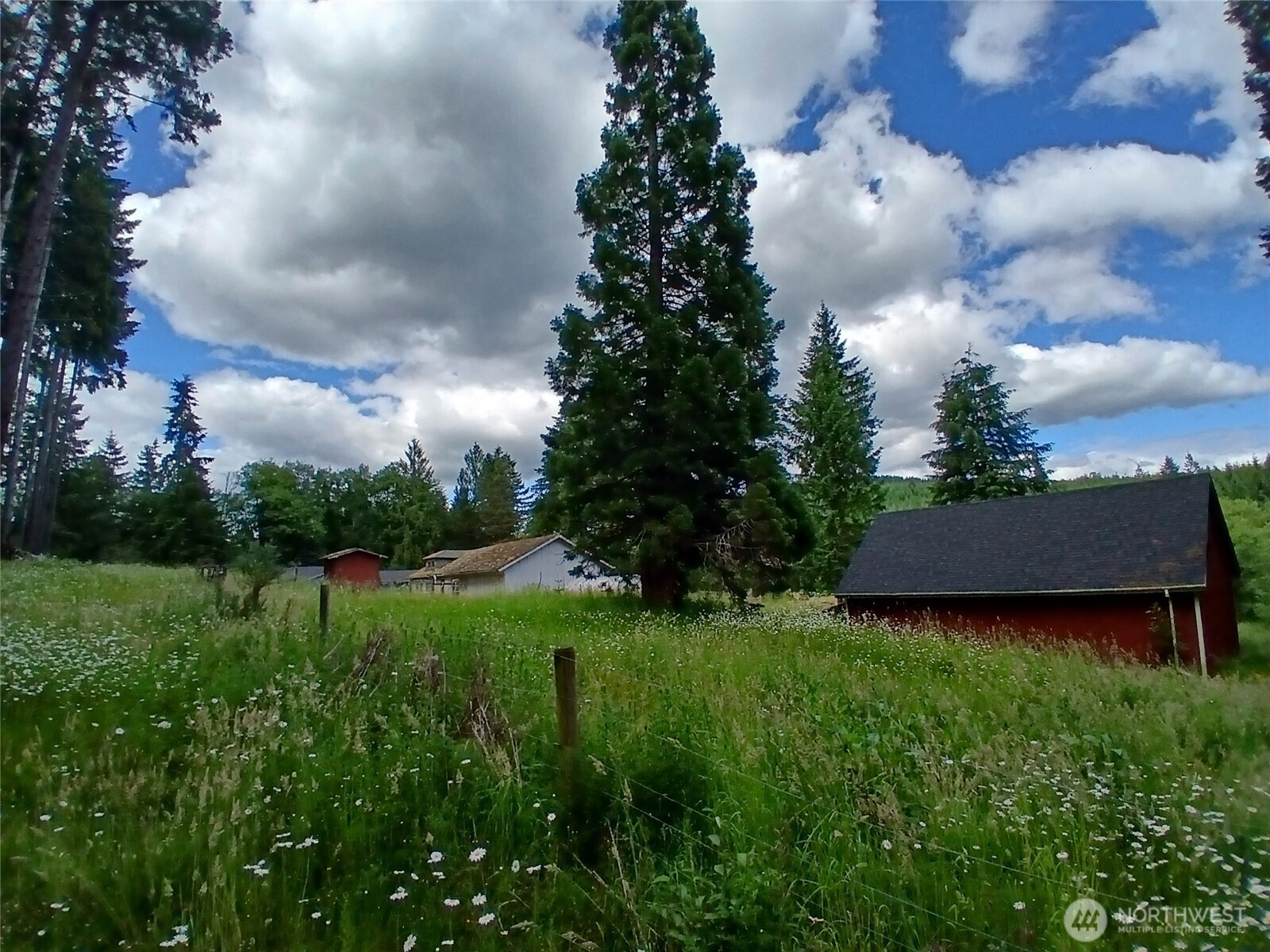 713 Wildwood Road Curtis, WA 98538 - Photo 4 of 39 Gallery Image 4