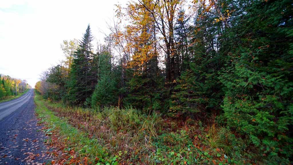 Lot 46 Benn Hill Road Houlton, ME 04730 - Photo 22 of 32 building-land-linneus-me