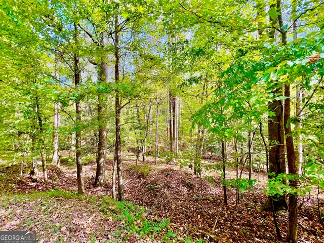 a green field with lots of trees