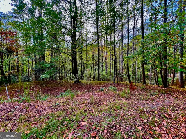 a view of backyard with green space