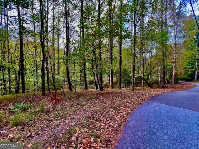 a view of outdoor space with trees