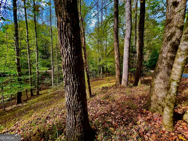 a view of a yard with plants and trees in front of it