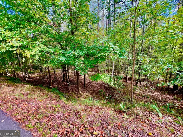 a view of a backyard with large trees