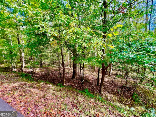 a view of a tree in a garden
