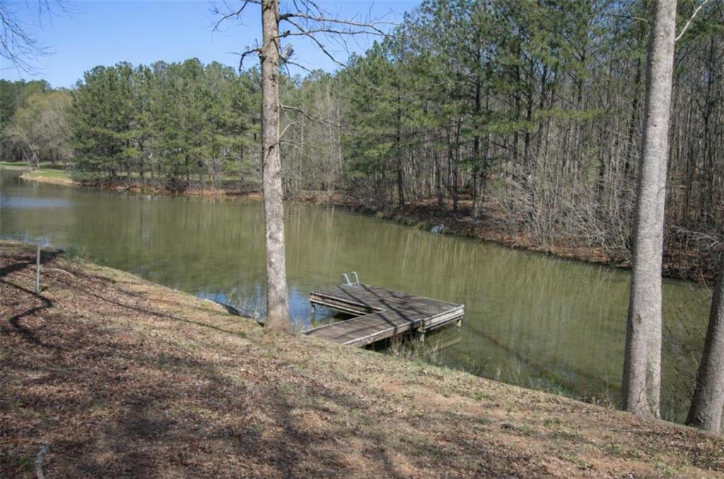 397 Sandhill Hickory Level Road Carrollton, GA 30116 - Photo 19 of 20