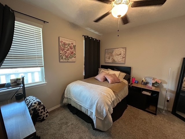 6942 Halter Loop College Station, TX 77845 - Photo 14 of 28 Carpeted bedroom featuring ceiling fan and baseboards