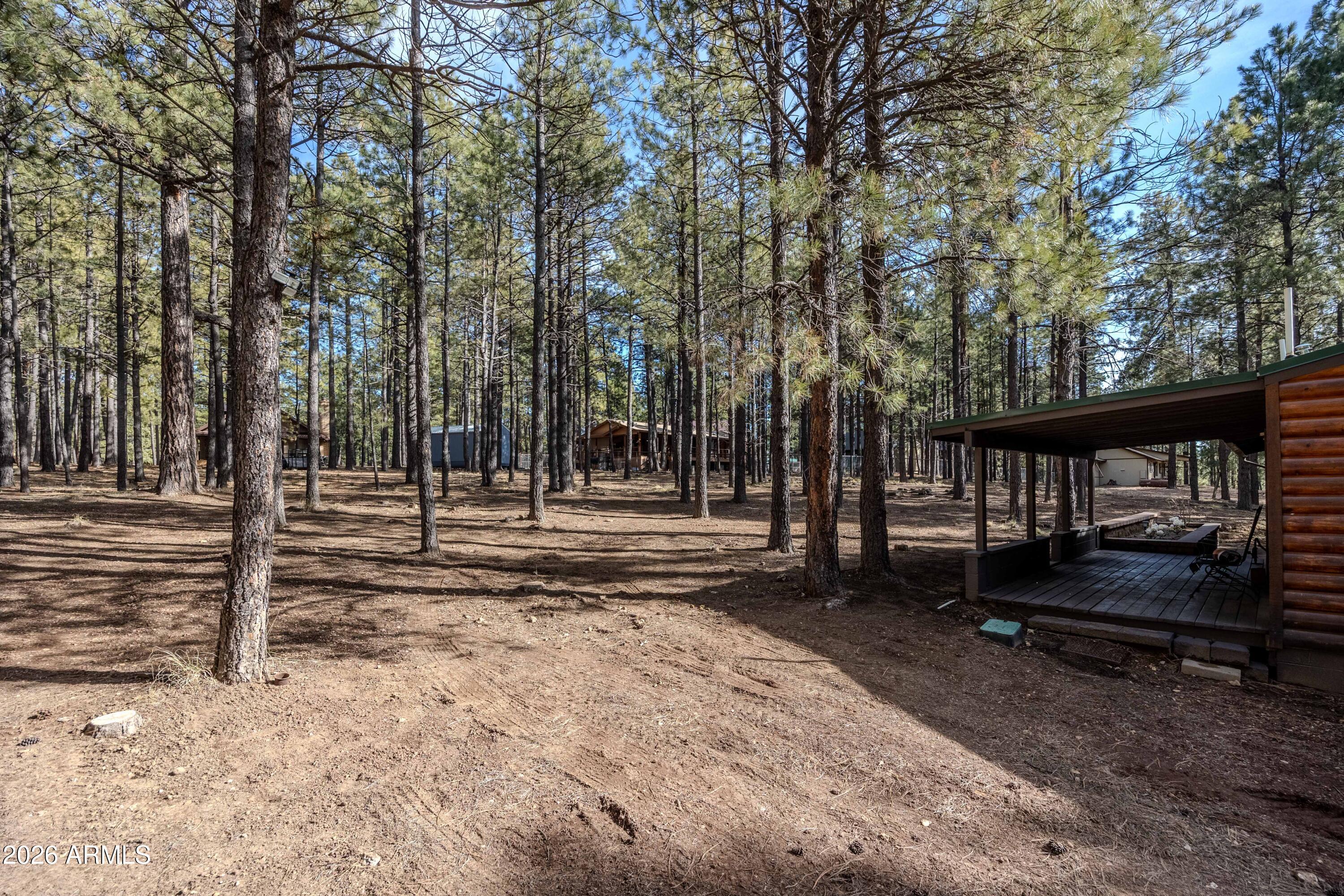 1415 Sheep Springs Road Forest Lakes, AZ 85931 - Photo 33 of 46