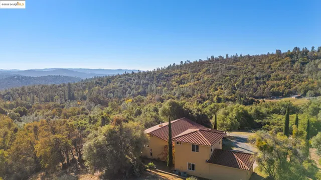 a view of a backyard with wooden fence