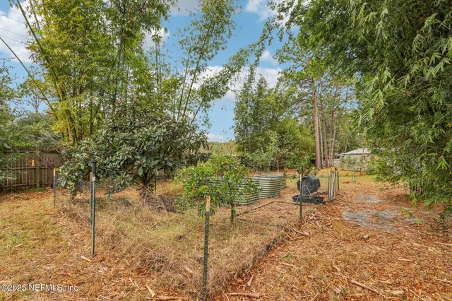 $425,000 | 1065 Birchwood Drive, Orange Park, FL 32065