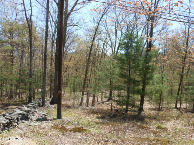 1096 Milford Road Dingmans Ferry, PA 18328 - Photo 2 of 7