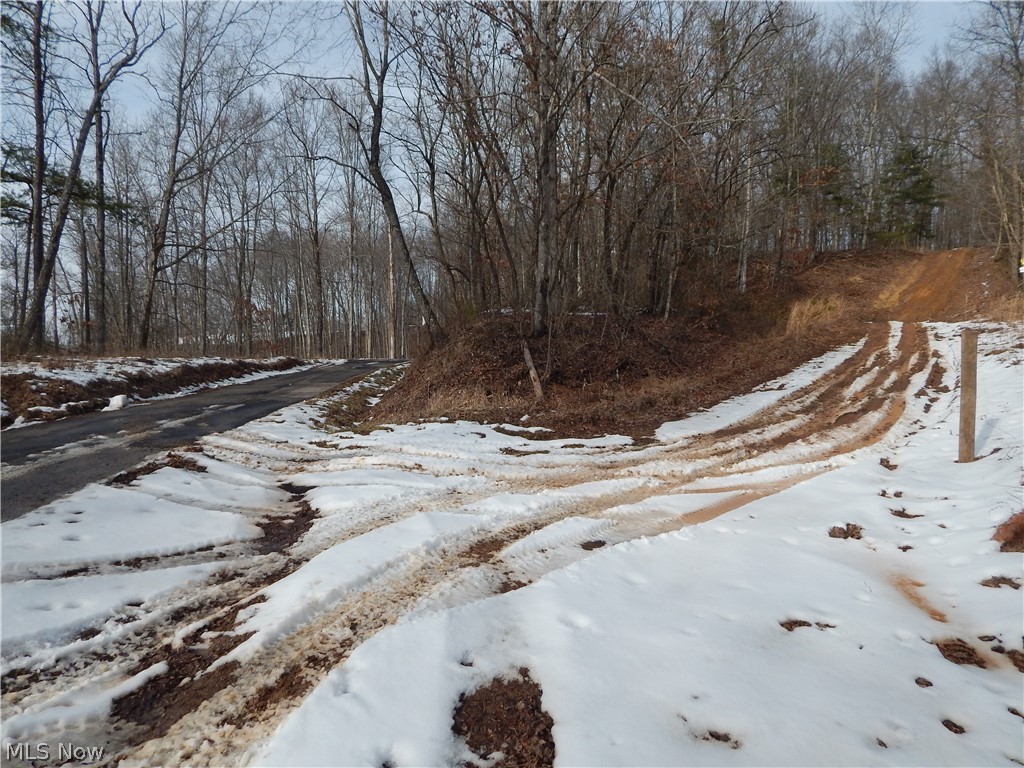 Fingerboard Road Big Springs, WV 26137 - Photo 3 of 21