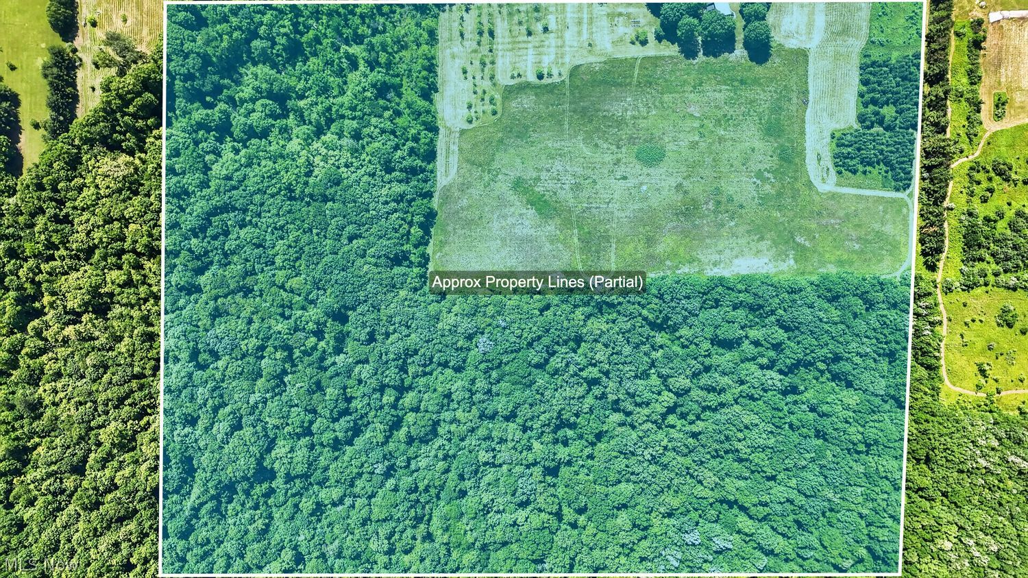 19845 Mosher Road Wellington, OH 44090 - Photo 44 of 50