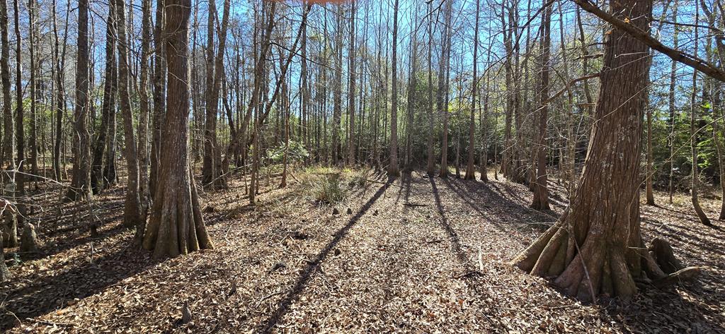 650 Grady Garner Road Slocomb, AL 36375 - Photo 62 of 82 Gallery Image 62
