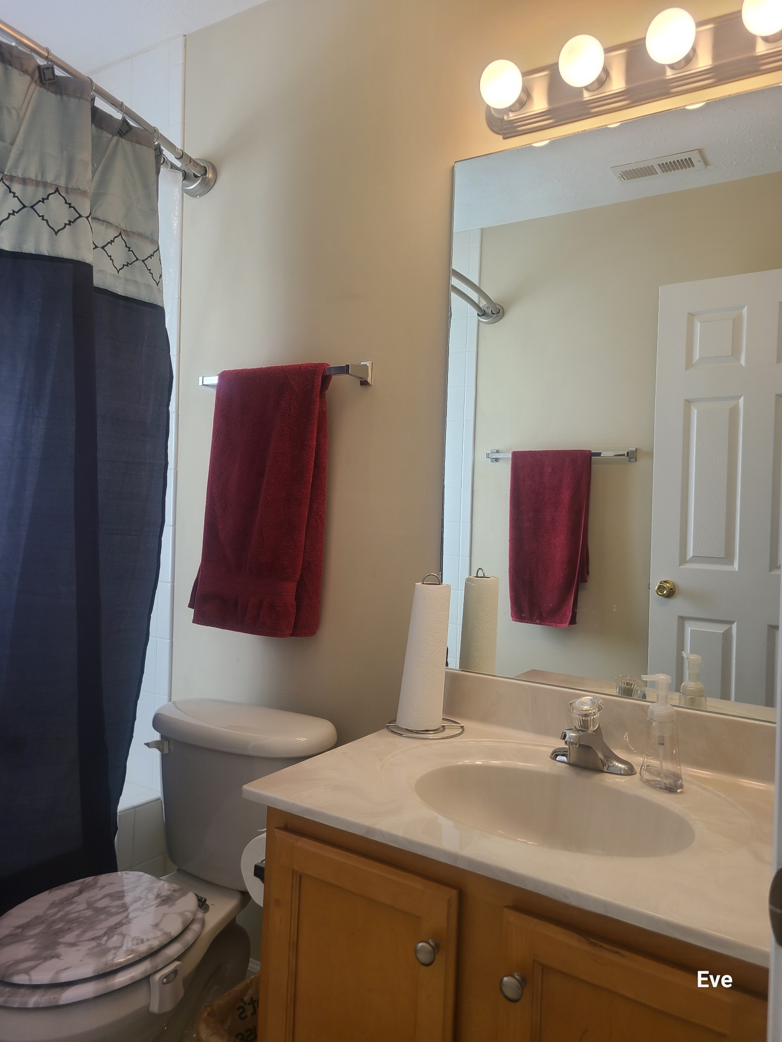 1232 Canyon Ridge Court Antioch, TN 37013 - Photo 23 of 41 a bathroom with a sink toilet and shower