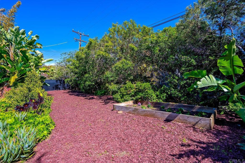 647 Arden Drive Encinitas, CA 92024 - Photo 15 of 36 a view of backyard with outdoor space