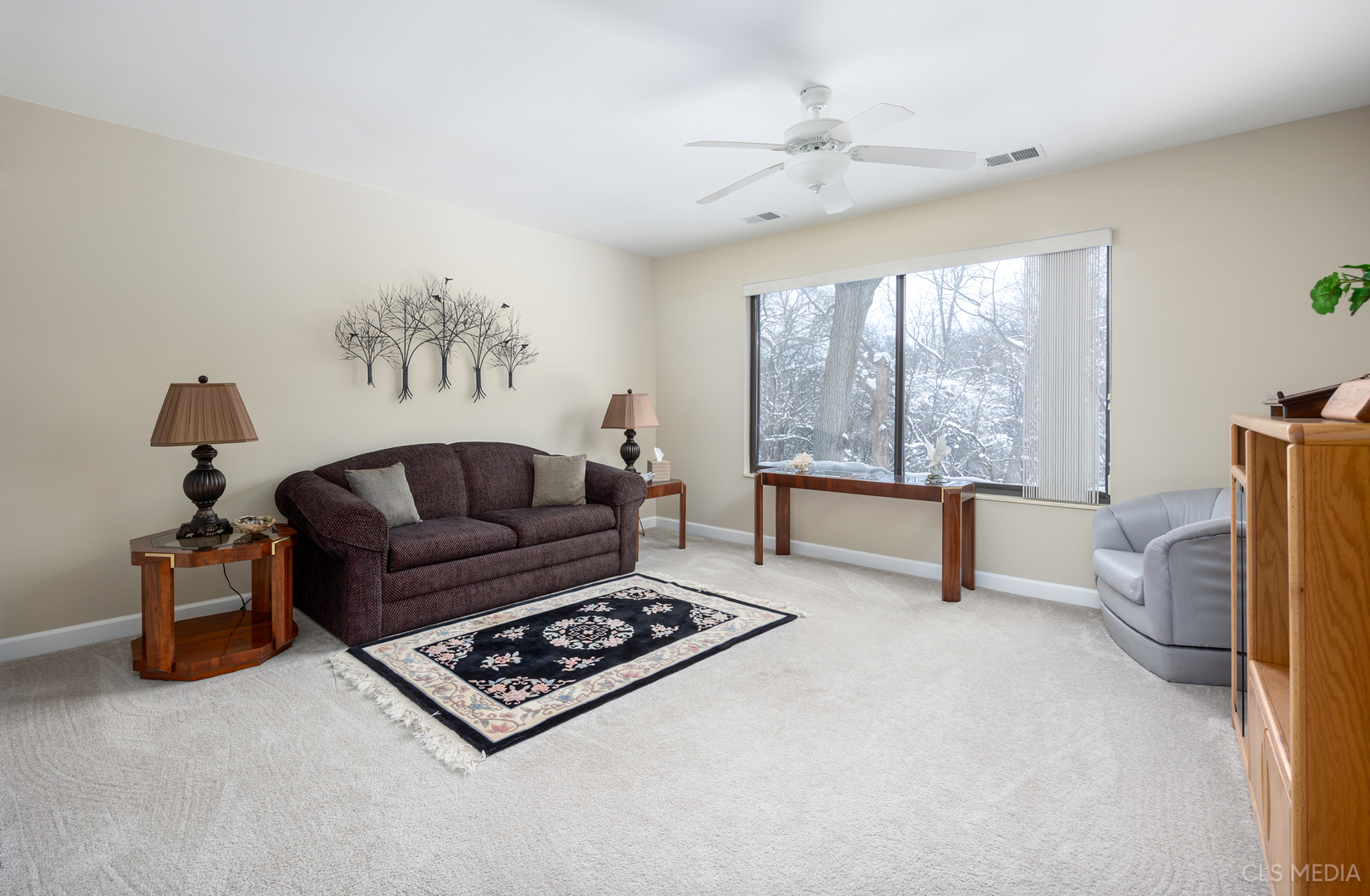 739 Old Barn Road Lake Barrington, IL 60010 - Photo 20 of 37 a living room with furniture and a rug