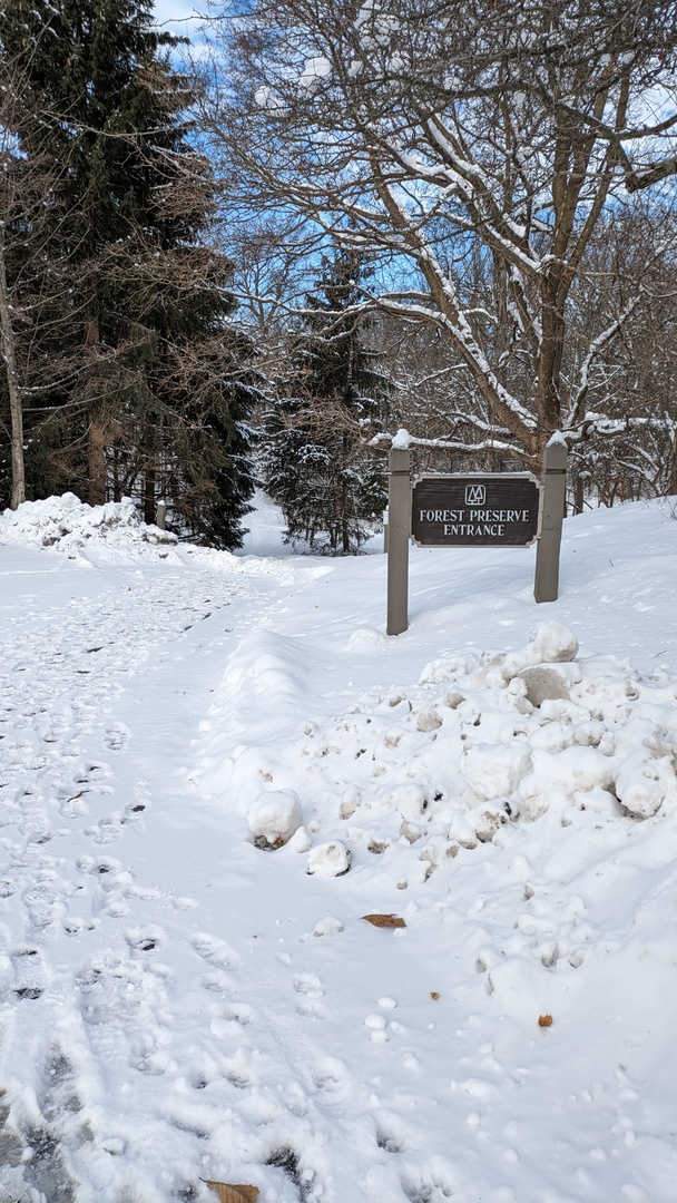 739 Old Barn Road Lake Barrington, IL 60010 - Photo 37 of 37 a view of snow on the road