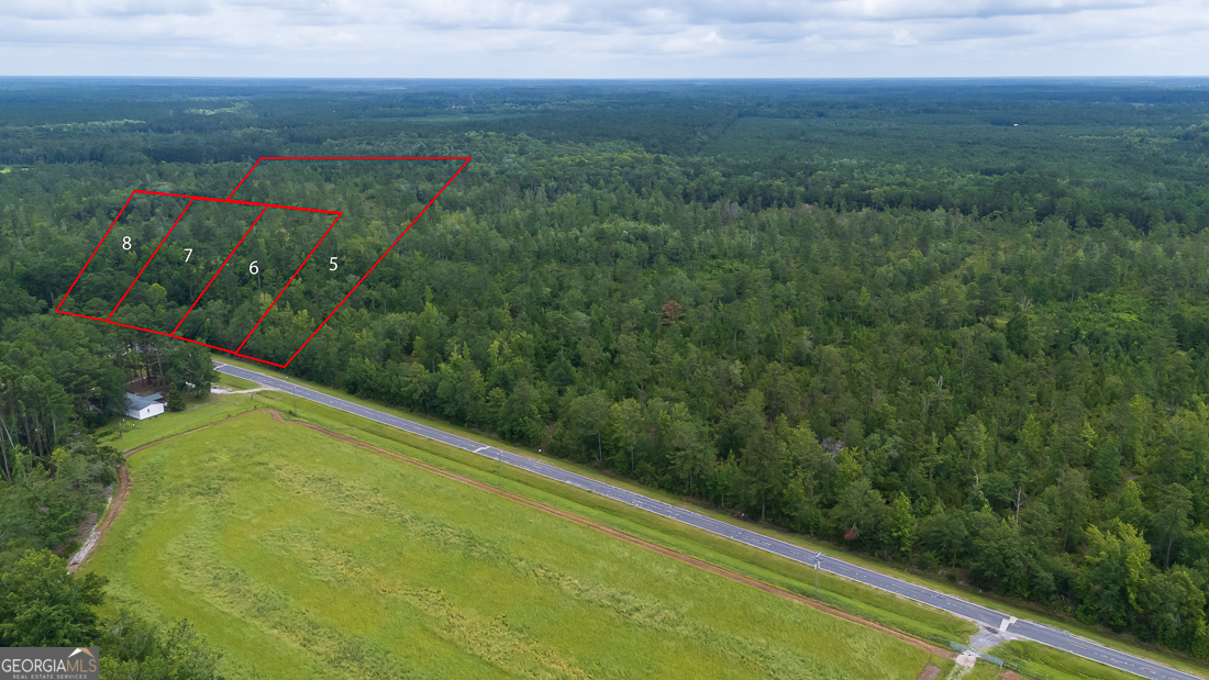 0 Old Louisville Road, Unit LOT 5 Guyton, GA 31312 - Photo 18 of 18 a view of a yard with an outdoor space