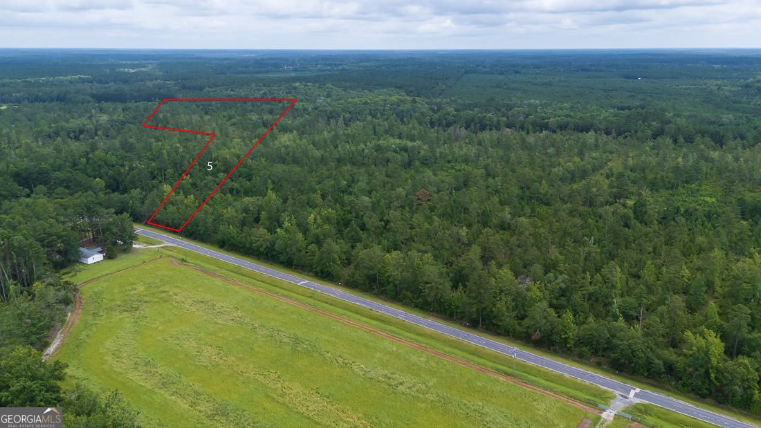 0 Old Louisville Road, Unit LOT 5 Guyton, GA 31312 - Photo 2 of 18 a view of a field with an ocean